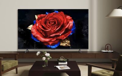 TCL T8C Review